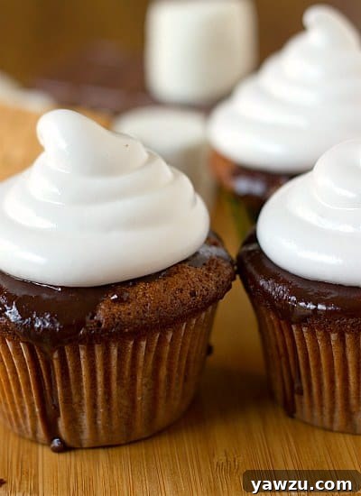Delicious S'mores Cupcakes
