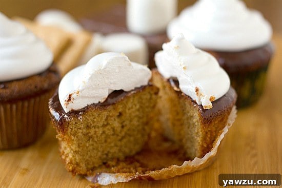 Closeup of toasted S'mores Cupcakes