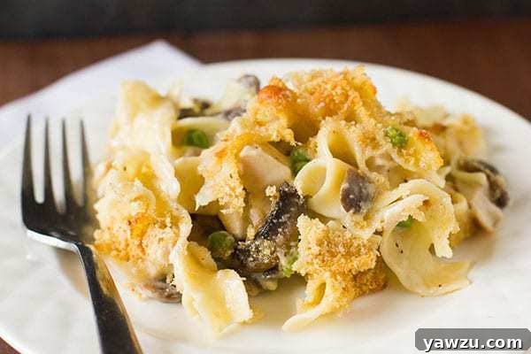 Creamy and hearty Turkey Tetrazzini pasta bake with golden topping