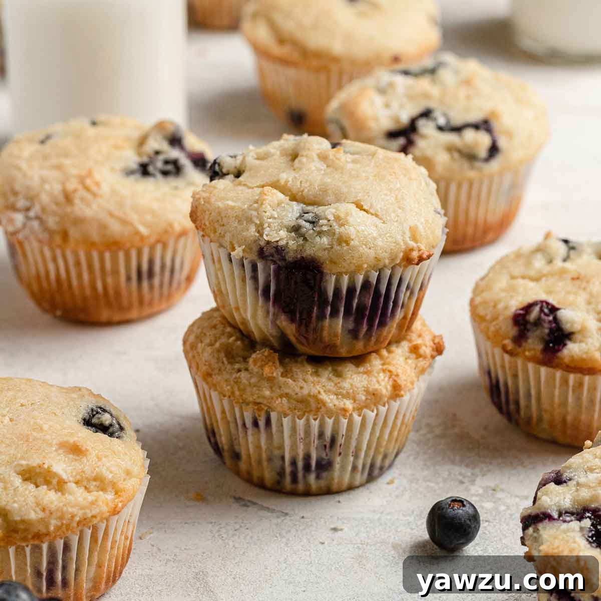 A vibrant display of freshly baked blueberry muffins on a kitchen counter, with two muffins invitingly stacked on top of each other, showcasing their golden tops and visible blueberries.