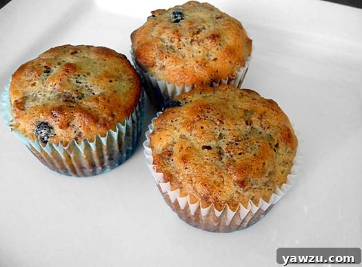 An elegant trio of golden-brown raisin bran muffins arranged on a pristine white serving platter, highlighting their rustic charm and wholesome appeal.