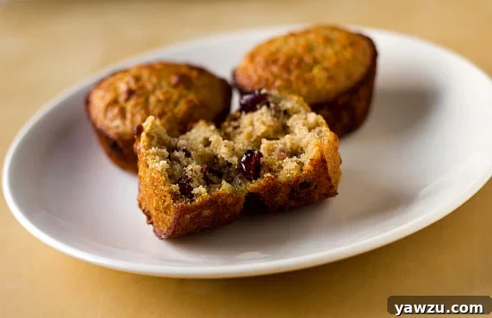 A beautifully photographed broken open oatmeal muffin showcasing its rich texture and visible cranberries, dates, and pecans on a plate, accompanied by two other perfectly baked muffins in the background.