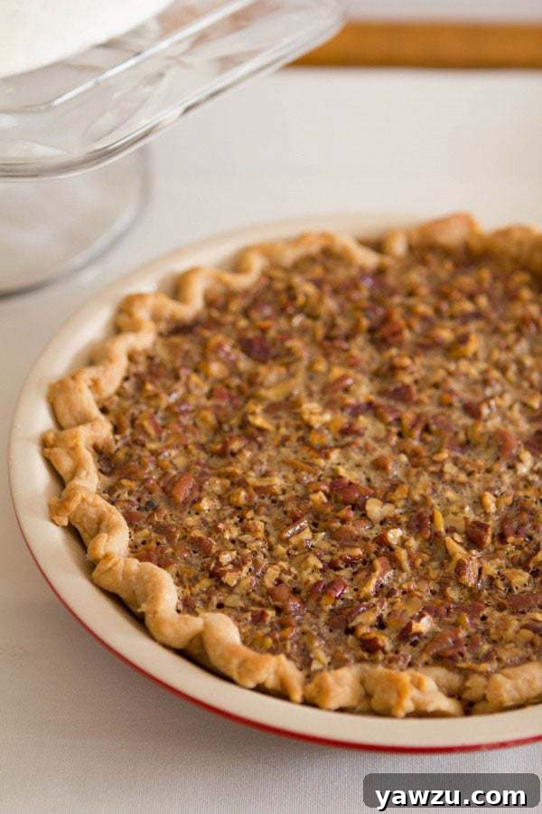 Rich and gooey Classic Pecan Pie, featuring a perfectly baked filling loaded with pecans and a golden crust.