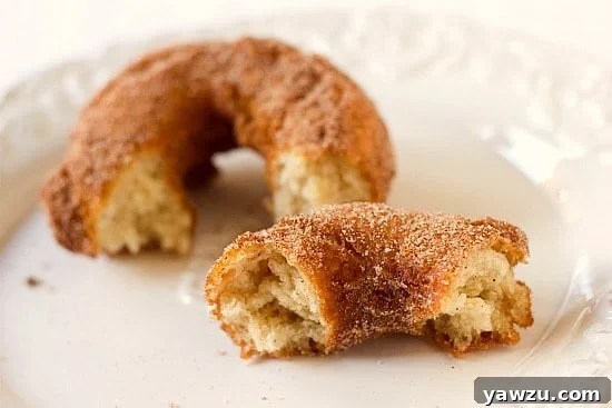 An assortment of buttermilk doughnuts, some with a generous coating of cinnamon sugar, others elegantly draped in vanilla and chocolate glazes, adorned with colorful sprinkles.
