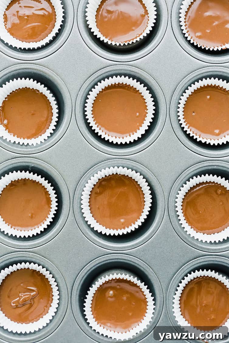 An overhead shot of peanut butter cups assembled and ready to be chilled.