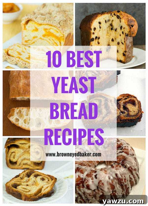 10 Best Yeast Bread Recipes for Home Bakers | Homemade Bread Guide