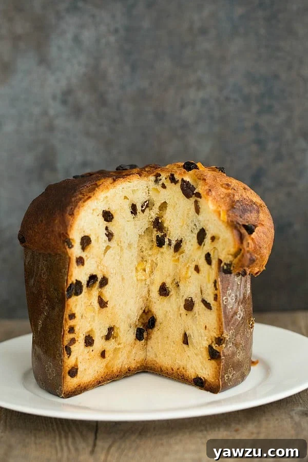 Traditional Italian Christmas Panettone Bread
