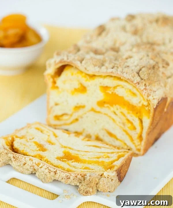 Rich and Sweet Apricot Cream Cheese Babka Recipe
