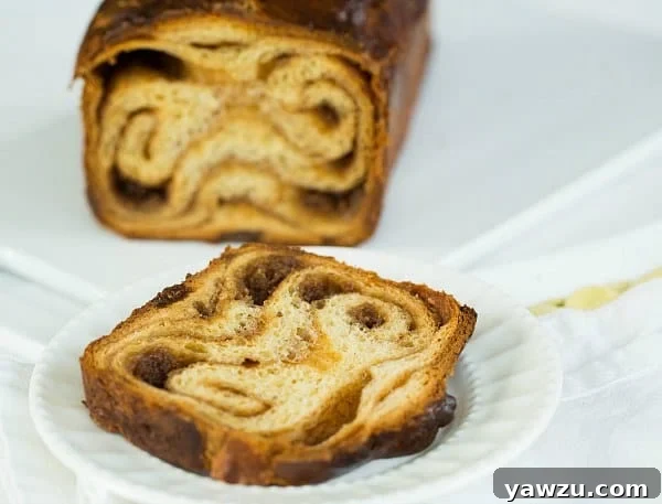 Sweet and Swirled Aromatic Cinnamon Babka