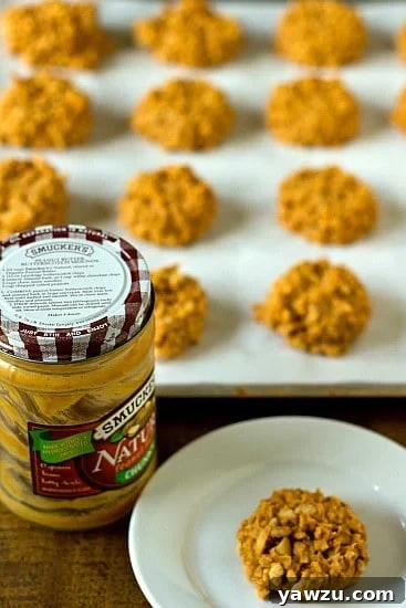 Close-up of No-Bake Peanut Butter Butterscotch Crispy Cookies featuring golden and white chips