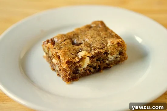 A close-up view of freshly baked Congo Bars, showcasing their golden crust, rich texture, and visible chocolate chips, coconut, and pecans.
