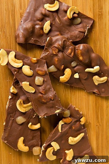 Close-up of a single piece of Salted Caramel Cashew Bark showing texture