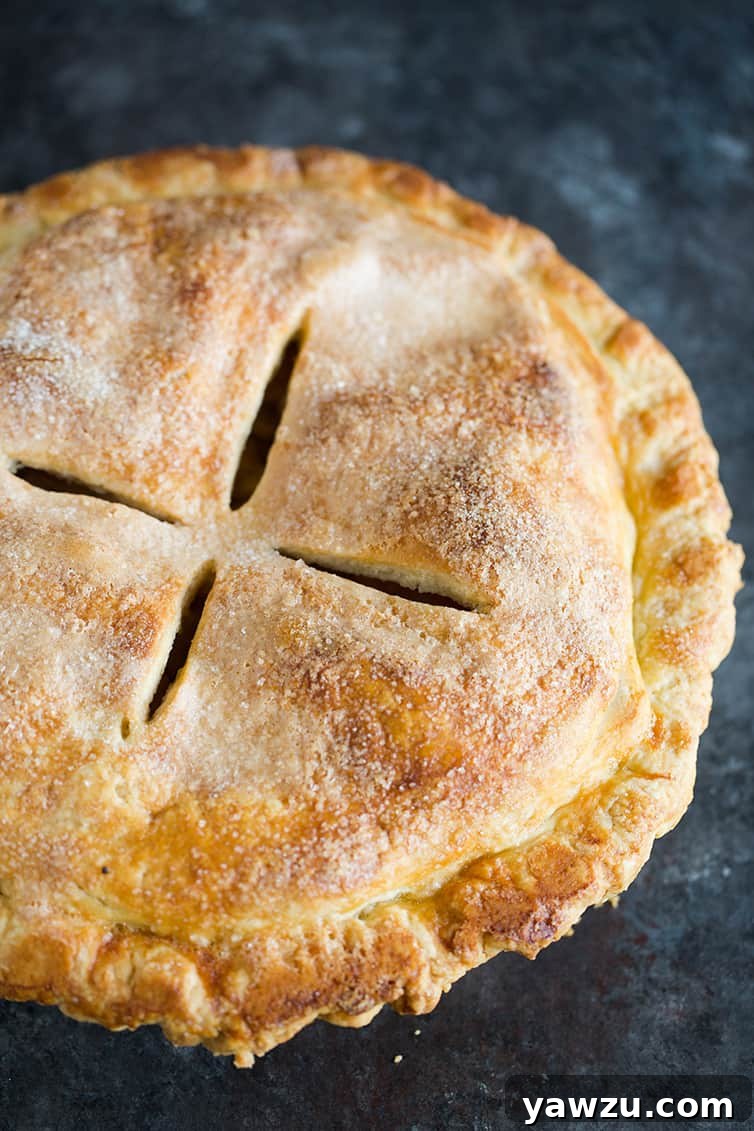 An inviting overhead view of a whole, freshly baked apple pie, showcasing its beautifully crimped crust and golden finish, ready to be served.