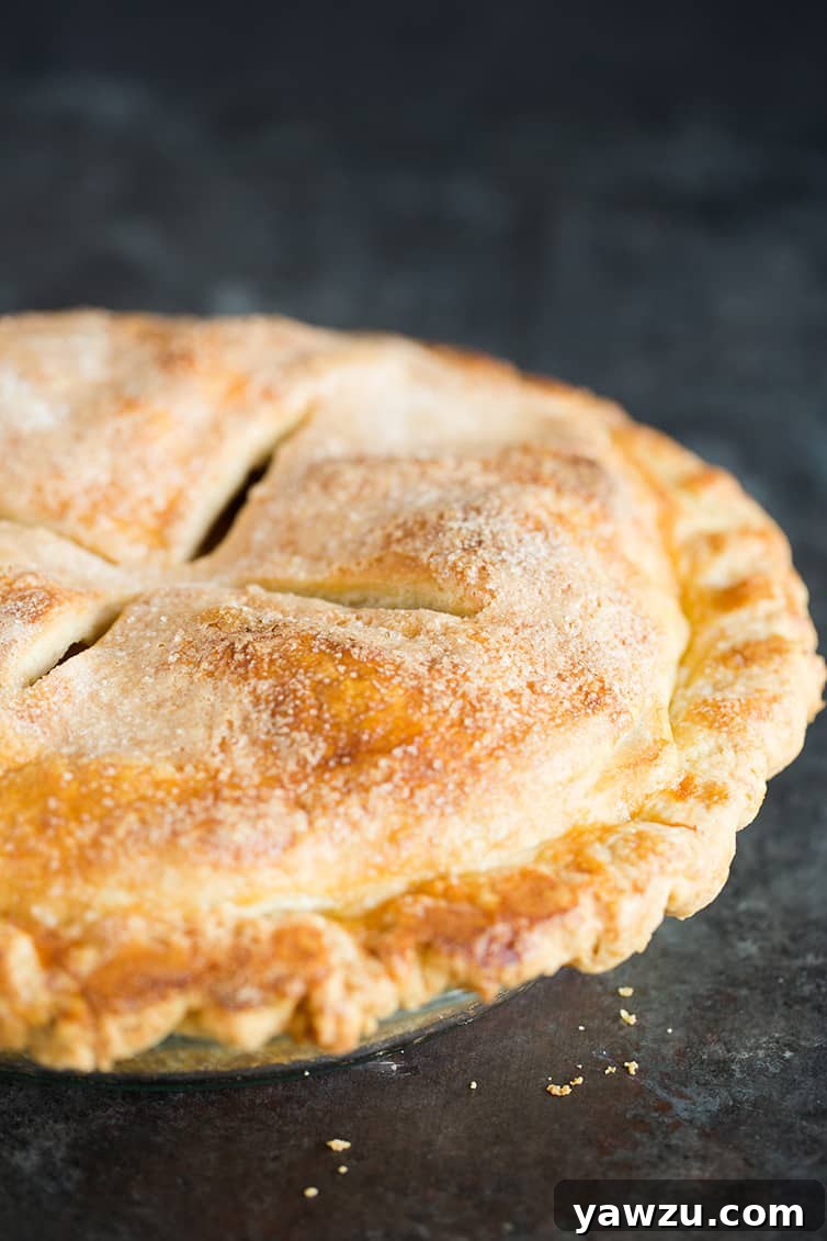 A stunning, whole classic apple pie, fresh from the oven, with a perfectly golden and crimped crust, radiating warmth and deliciousness.