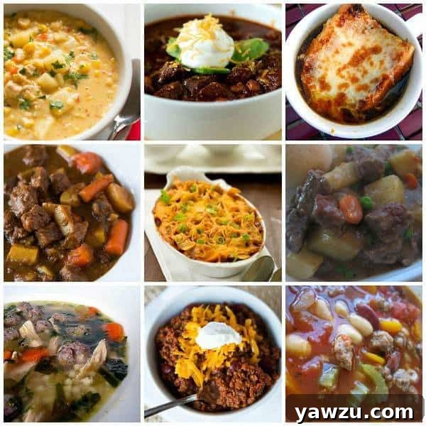The 10 Best Soups, Stews & Chili from browneyedbaker.com – A Collection of Comforting Winter Warmers