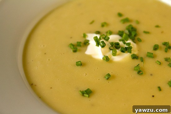 A close-up of creamy potato and leek soup, expertly garnished with fresh chives and a swirl of sour cream, presented in a white bowl.
