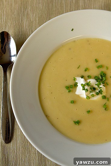 A vertical shot of a bowl of creamy potato and leek soup, garnished with chives, inviting a warm and cozy feeling.