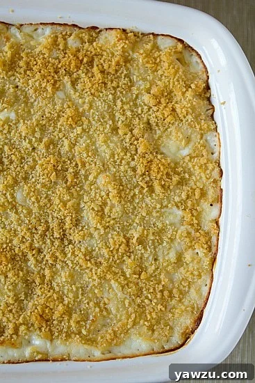 Another view of the macaroni and cheese casserole, showing its creamy texture.