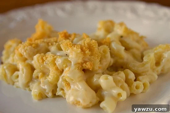 Close-up of the macaroni and cheese filling before baking.