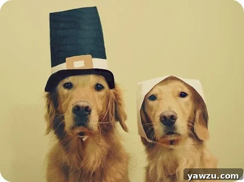 A beautifully set Thanksgiving table, overflowing with traditional dishes like roasted turkey, various side dishes, and festive decorations, creating a warm and inviting atmosphere for a holiday feast.