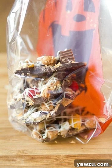 An extreme close-up of a piece of Halloween candy bark, showcasing the rich texture of the chocolate and the vibrant, diverse candy toppings.