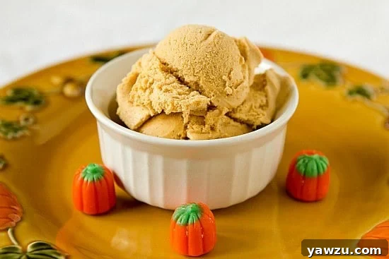 Two generous scoops of creamy pumpkin ice cream artfully presented in a pristine white bowl, ready to be enjoyed as a refreshing fall dessert.