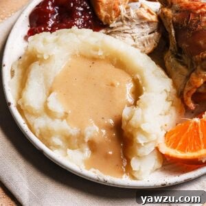 A finished serving of Make-Ahead Turkey Gravy