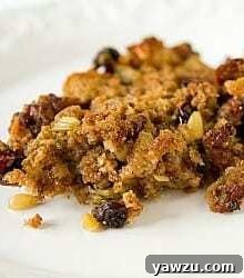 Serving of delectable sausage, fig, and cranberry stuffing on a pristine white plate, garnished for presentation.