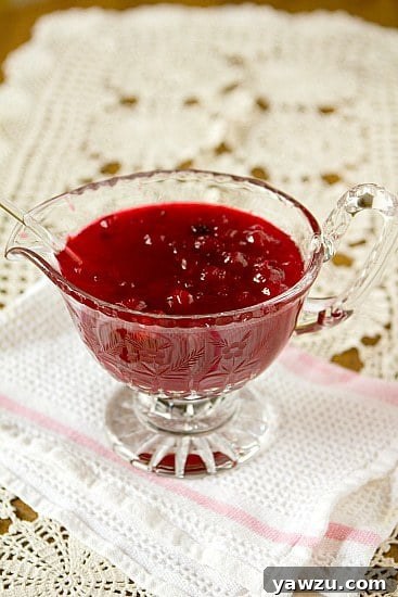 Lush homemade cranberry sauce in a rustic bowl, perfect for holiday feasts.