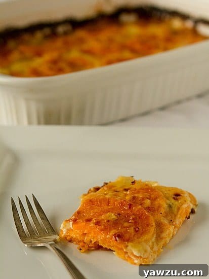 Golden brown Sweet Potato Gratin with melted Gruyere cheese, ready to be served from a casserole dish.