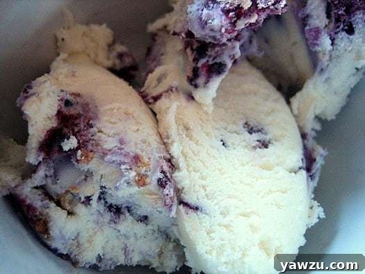 Scoops of luscious blueberry cheesecake ice cream in a white bowl, garnished with fresh blueberries and graham cracker crumbs.