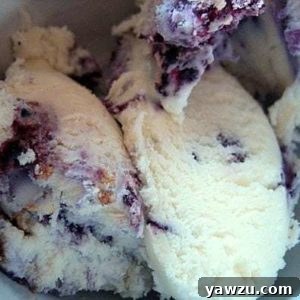 Scoops of blueberry cheesecake ice cream in a white bowl.