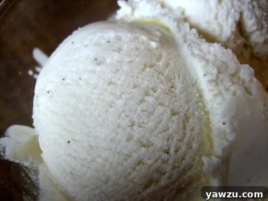 Scoops of rich, creamy vanilla ice cream, promising pure indulgence.