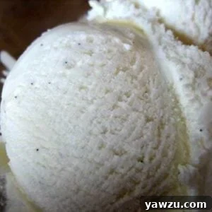 Scoops of vanilla ice cream, ready to be enjoyed.