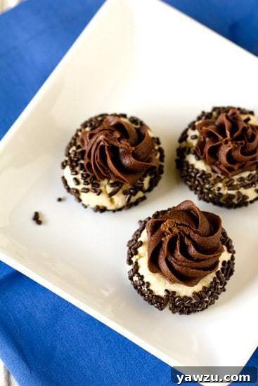 Chocolate Sprinkle Thumbprint Cookies