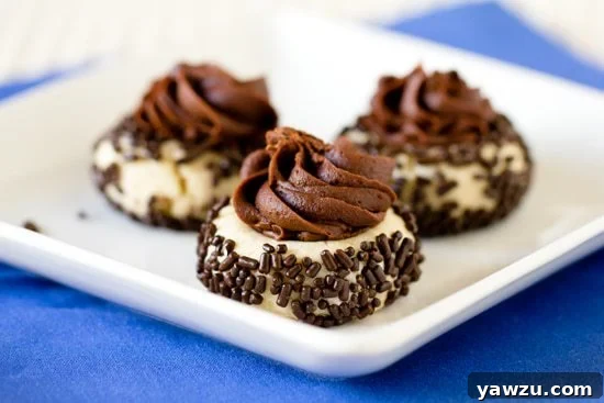 Chocolate Sprinkle Thumbprint Cookies