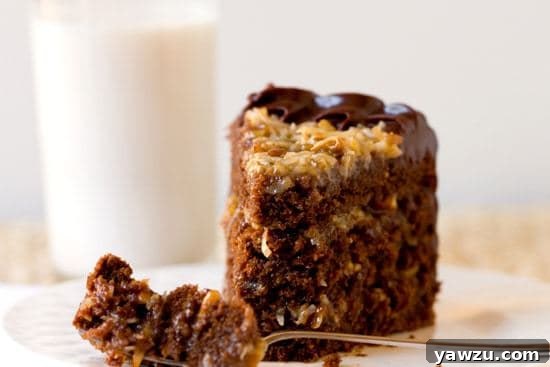 A beautifully decorated German Chocolate Cake, showcasing the detailed piping of chocolate ganache around the perimeter of the pecan-coconut topping