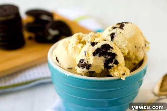 Rich and creamy homemade Cookies and Cream Ice Cream in a bowl with a spoon