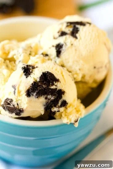 A closer look at the homemade Cookies and Cream Ice Cream, showing rich texture and visible cookie chunks