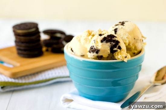 A delicious scoop of Cookies and Cream Ice Cream, ready to be enjoyed