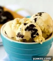 Close-up of Cookies and Cream Ice Cream, showing rich texture and cookie pieces.