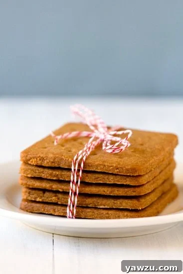 Vertical shot of freshly baked homemade graham crackers, showing their delightful texture.