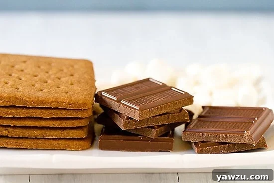 S'mores with homemade graham crackers, perfectly toasted marshmallow, and melted chocolate.