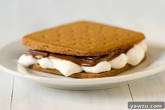 Close-up of a s'more being made, with a roasted marshmallow and chocolate between two homemade graham crackers.