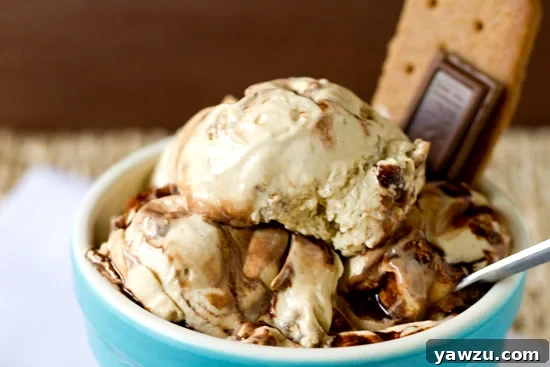 Scoops of S'mores Ice Cream, showcasing the fudge swirl and graham cracker pieces.