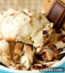 A scoop of S'mores Ice Cream with a rich fudge swirl and graham cracker chunks.