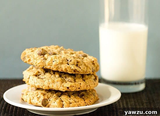 Salted Espresso Oatmeal Chocolate Chip Cookies with a rustic presentation