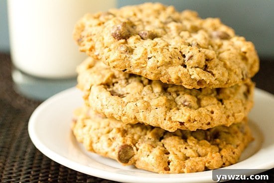Close-up of baked Salted Espresso Oatmeal Chocolate Chip Cookies sprinkled with sea salt