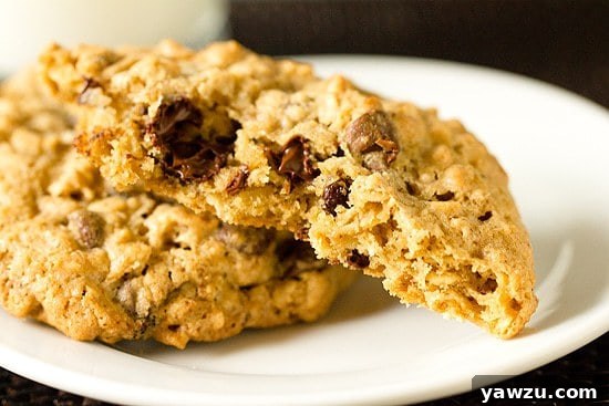 Freshly baked Salted Espresso Oatmeal Chocolate Chip Cookies cooling on a wire rack