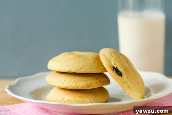 Preparing the dough for classic raisin-filled cookies